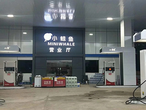 麻豆网站在线播放